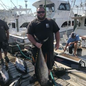 Meet your Posher, Cody